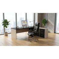 Escritorio de oficina Conjunto Ejecutivo Luter