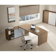 Escritorio CEO BRANDIX