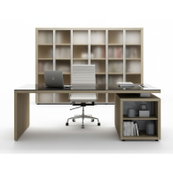 Escritorio de oficina en madera y vidrio con estantes