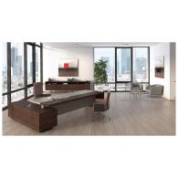 Escritorio de CEO brown ligth